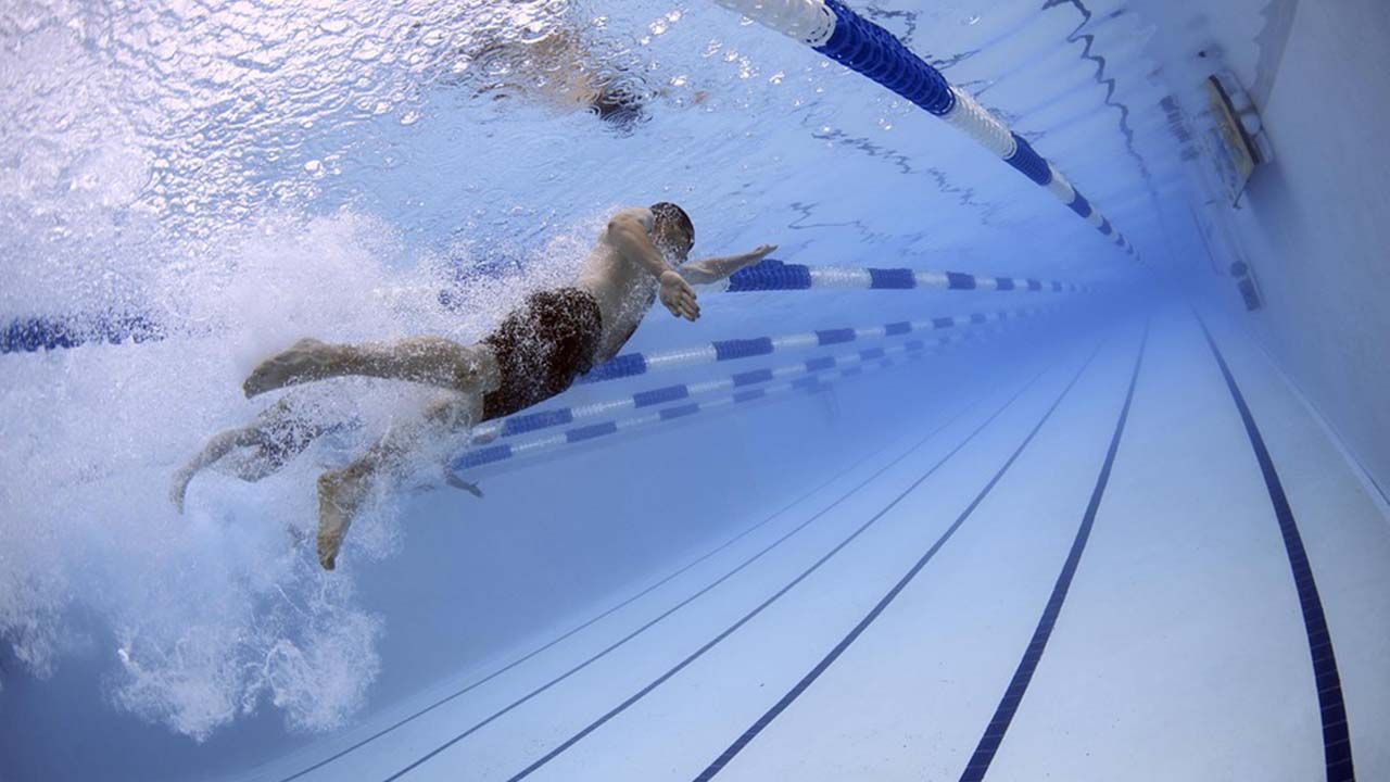 natacion o gimnasio